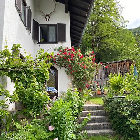 Saint Wolfgang Ferienwohnung Laimer, Radau 37 מראה חיצוני תמונה