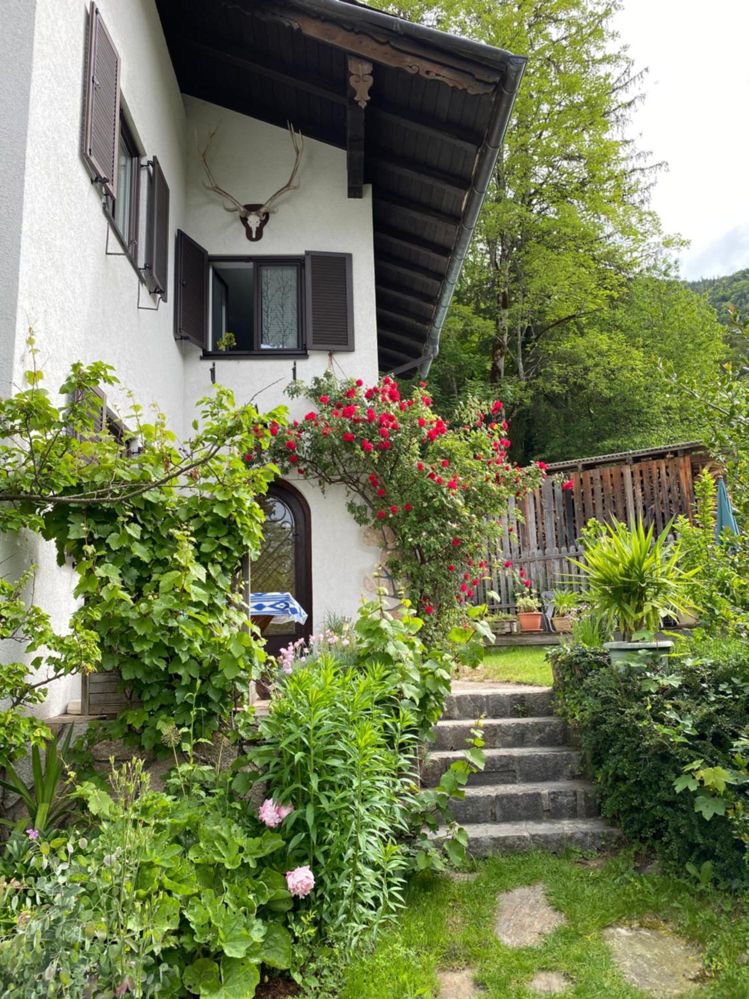 Saint Wolfgang Ferienwohnung Laimer, Radau 37 מראה חיצוני תמונה